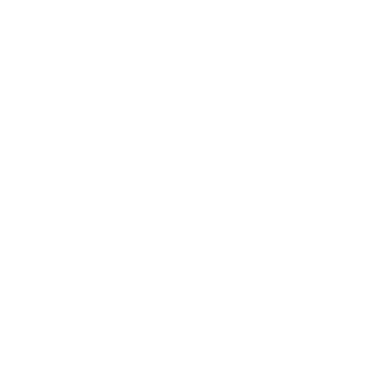 Noemeon Logo1